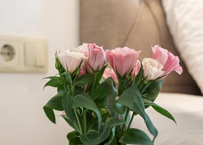 Park View Deluxe Апартаменты