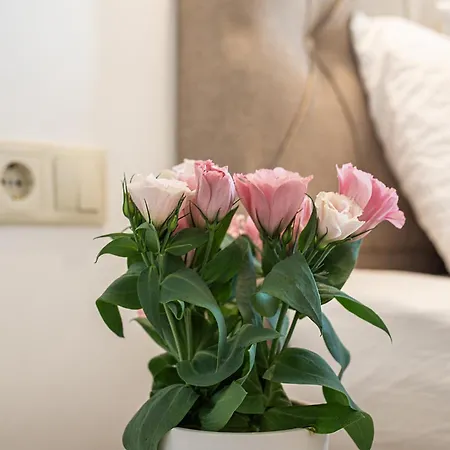 Park View Deluxe Apartment